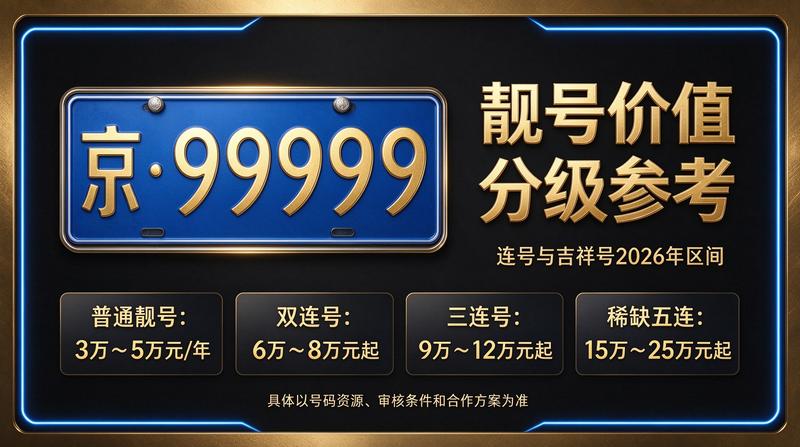 闲置车牌指标价格明细表可视化展示